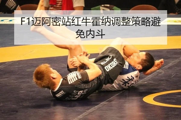 mai-a-mi-zhan-hong-niu-huo-na-tiao-zheng-ce-lve-bi-mian-nei-dou-2-923.jpg