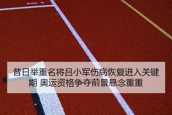 xi-ri-ju-zhong-ming-jiang-lv-xiao-jun-shang-bing-hui-fu-jin-ru-guan-jian-qi-ao-yun-zi-ge-zheng-duo-qian-jing-xuan-nian-2-230.jpg